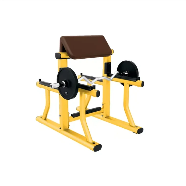 Arm Curl Bench: Mubatsiri Akanaka Kune Ane Simba Biceps Kudzidziswa
